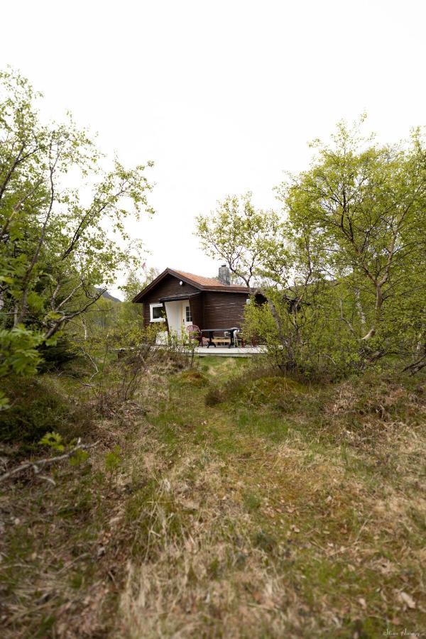 Вилла Haugteig Lyngvaeret Экстерьер фото